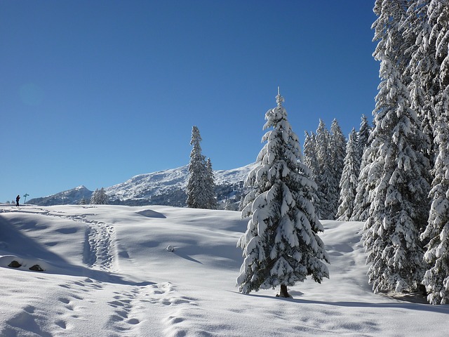 studying-abroad-in-winter