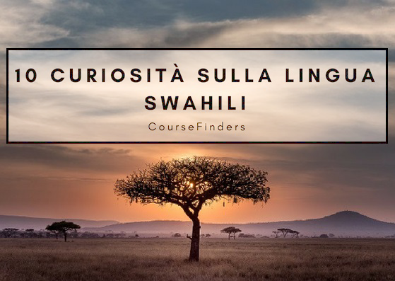 10 curiosità sulla lingua swahili