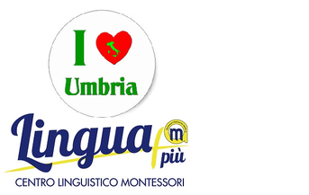 Lingua Più - Centro Linguistico